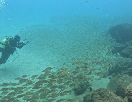 Reservas de la Biosfera marinas de Gran Canaria, Fuerteventura y Lanzarote–La Graciosa