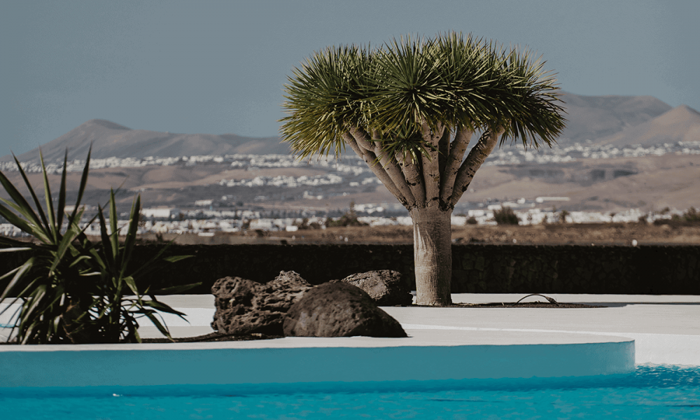 Brunch Islote de Fermina Lanzarote: disfruta los domingos en plena bahía de Arrecife