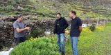 La abeja reina negra canaria
