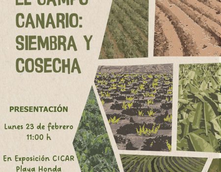 Concurso de Dibujo “Pinta y Cuida tu Isla”