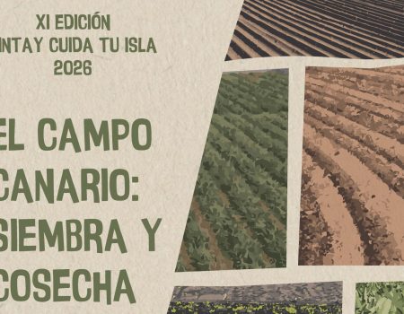 Concurso de dibujo “Pinta y Cuida tu Isla 2026”