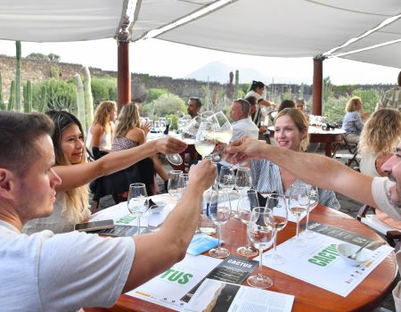Vinos de Lanzarote presenta su agenda 2026