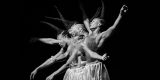 Suelo y Aire 2026: Muestra de Danza Contemporánea en Lanzarote. Festival de Danza Traslación. Programa de talleres de danza contemporánea.