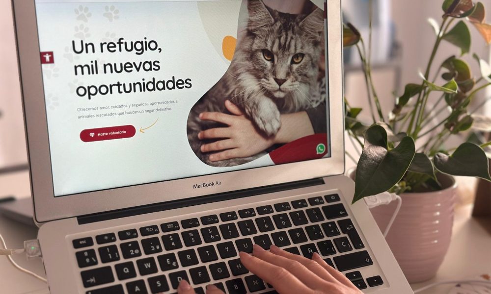 Web de adopción de animales en San Bartolomé