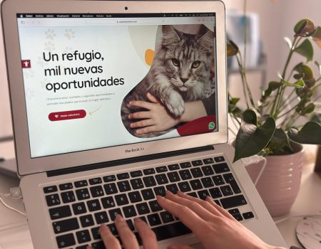 Web de adopción de animales en San Bartolomé