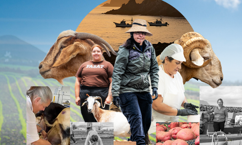 Programa de la V Feria de Agricultura, Ganadería y Pesca de Teguise 2026