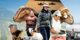 Programa de la V Feria de Agricultura, Ganadería y Pesca de Teguise 2026