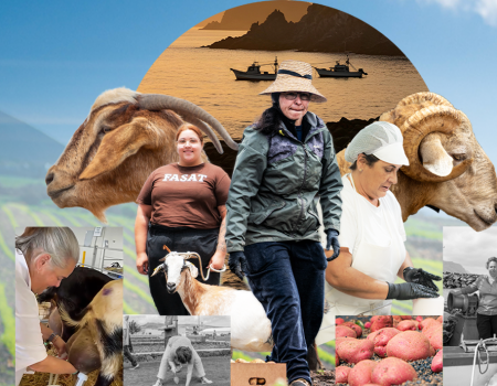 Programa de la V Feria de Agricultura, Ganadería y Pesca de Teguise 2026