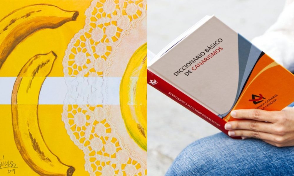 Sede institucional y actividades de investigación del patrimonio cultural canario gobierno de canarias 2026