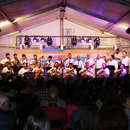 Componentes de la Parranda Janubio tocando instrumentos de cuerda y cantando folklore en el escenario de Las Breñas.
