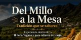 Fiestas de San Juan Haría 2026