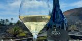 Botella del vino espumoso Princesa Fayna Brut Nature de Bodegas Vega de Yuco con la Medalla de Oro 2026.