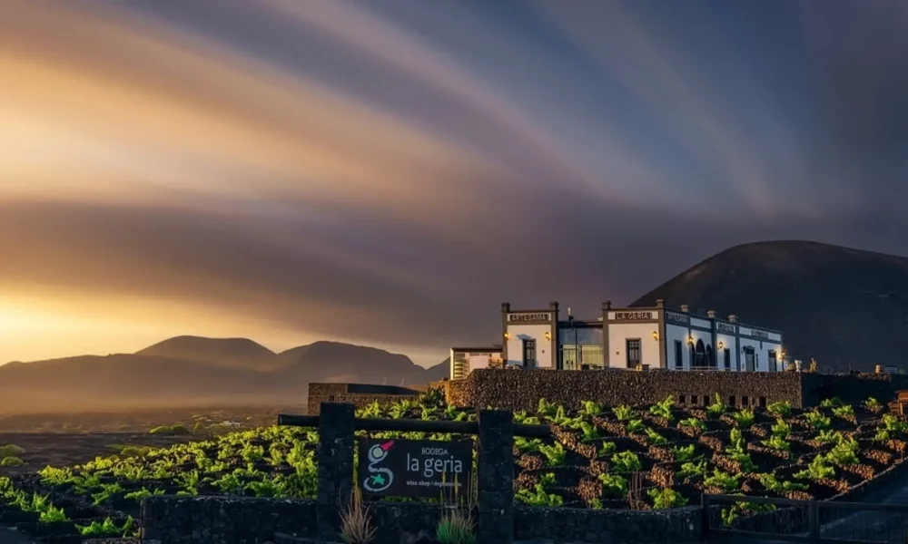 Paisaje de viñedos en hoyos de ceniza volcánica en La Geria con la bodega al fondo.
