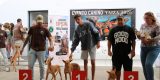 Las razas autóctonas caninas canarias Yaiza se reunieron en una exhibición única por el Día de Canarias. Consulta aquí la lista de los canes.