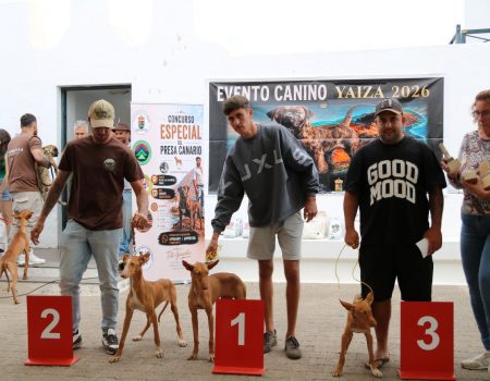 Las razas autóctonas caninas canarias Yaiza se reunieron en una exhibición única por el Día de Canarias. Consulta aquí la lista de los canes.