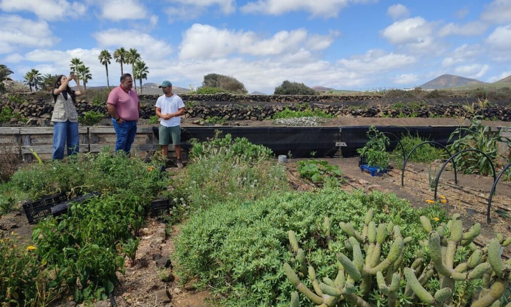 Subvenciones de la Reserva de la Biosfera en Lanzarote para proyectos de sostenibilidad