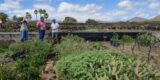 Subvenciones de la Reserva de la Biosfera en Lanzarote para proyectos de sostenibilidad