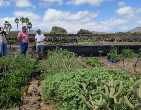 Subvenciones de la Reserva de la Biosfera en Lanzarote para proyectos de sostenibilidad