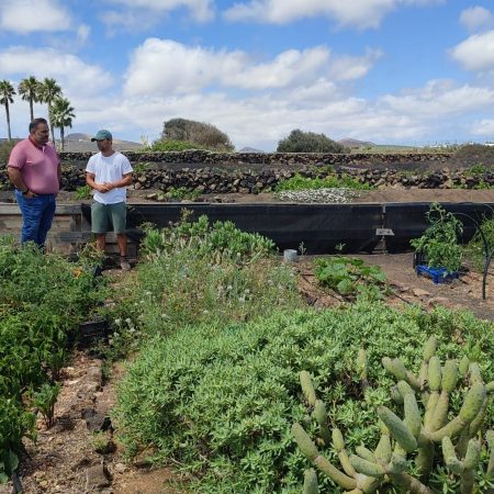 Subvenciones de la Reserva de la Biosfera en Lanzarote para proyectos de sostenibilidad