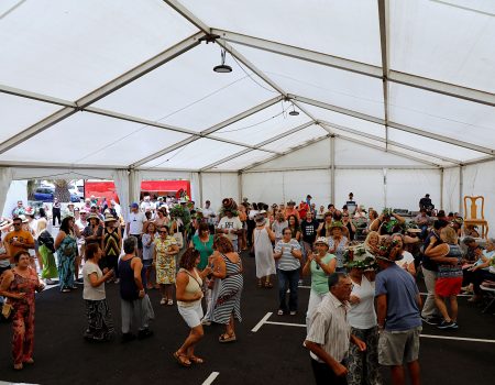 Fiestas de Masdache 2026