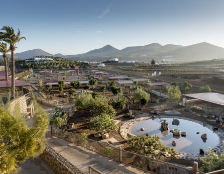 Triunfo de Finca de Uga en Agrocanarias 2026