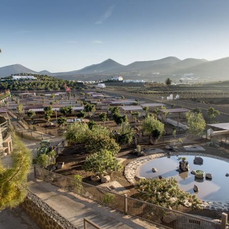 Triunfo de Finca de Uga en Agrocanarias 2026