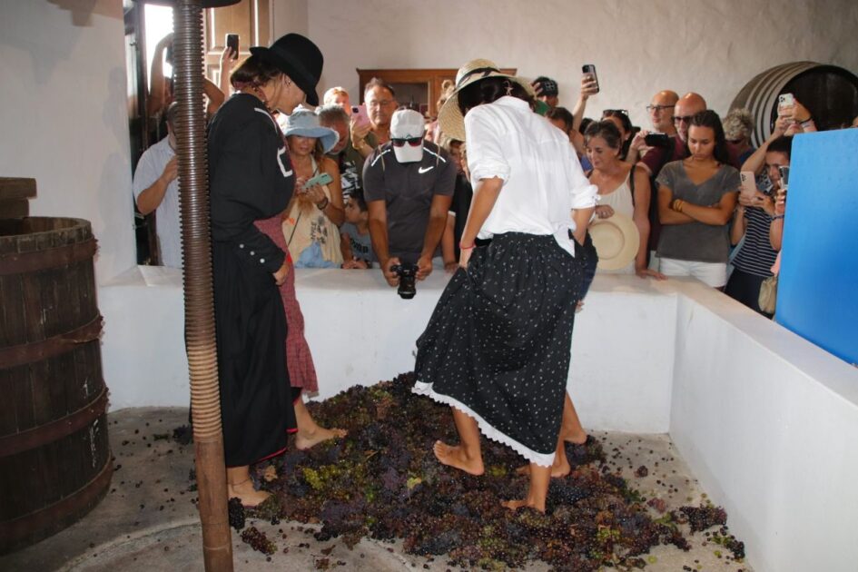 Participantes en el tradicional pisado de la uva en el antiguo lagar de Bodega La Geria.