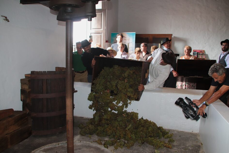 Participantes pisando uva listán blanco en el antiguo lagar de la bodega La Geria.