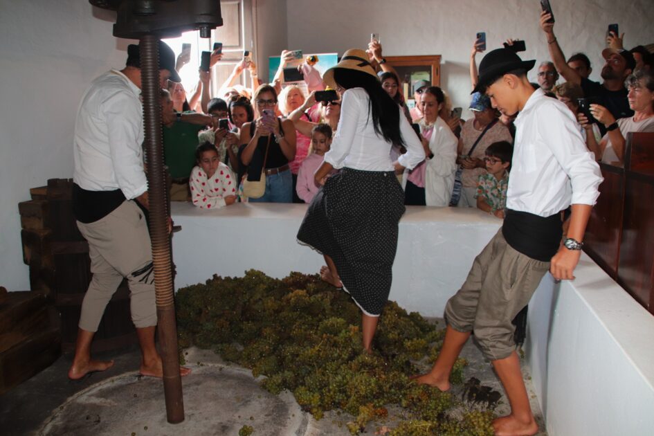 Participantes pisando uva listán blanco en el antiguo lagar de la bodega La Geria.