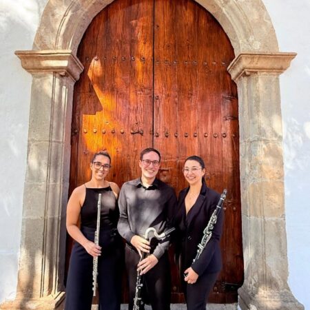 Instrumentos de viento y madera en un concierto de música de cámara)