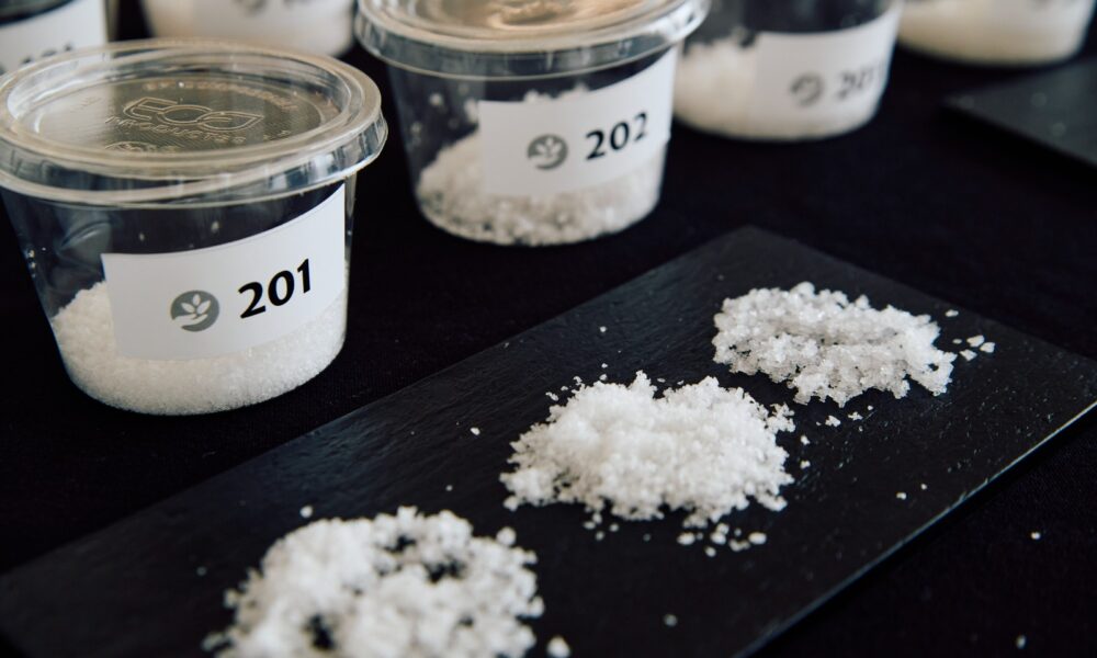 La sal de Lanzarote, Salinas de Janubio, Agrocanarias 2026, ICCA, Narvay Quintero, Samuel Martín, Luis Arráez Guadalupe, Gastronomía Canaria, Patrimonio, Mass Cultura.