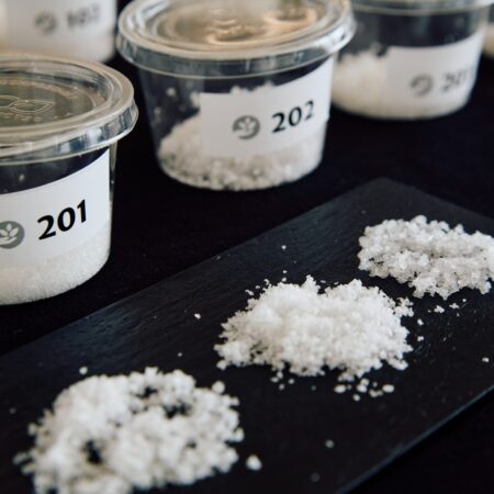 La sal de Lanzarote, Salinas de Janubio, Agrocanarias 2026, ICCA, Narvay Quintero, Samuel Martín, Luis Arráez Guadalupe, Gastronomía Canaria, Patrimonio, Mass Cultura.
