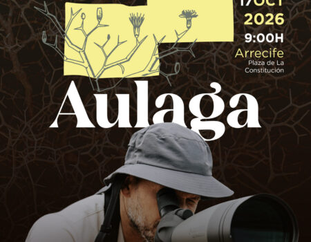 Cartel de la II Jornada de Avistamiento de aves en Arrecife.
