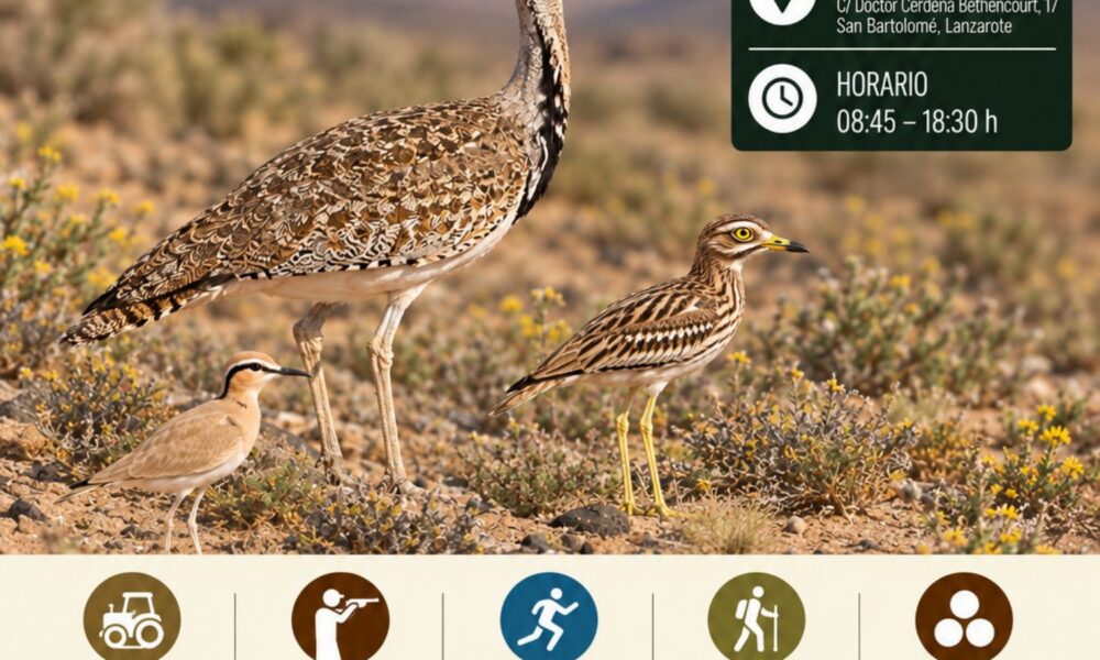 Jornada técnico-participativa para la protección de las aves esteparias del Jable 2026.