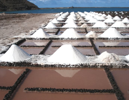 Recolección artesanal de La sal de Canarias en las salinas premiadas.