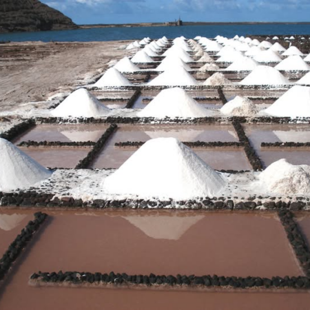 Recolección artesanal de La sal de Canarias en las salinas premiadas.
