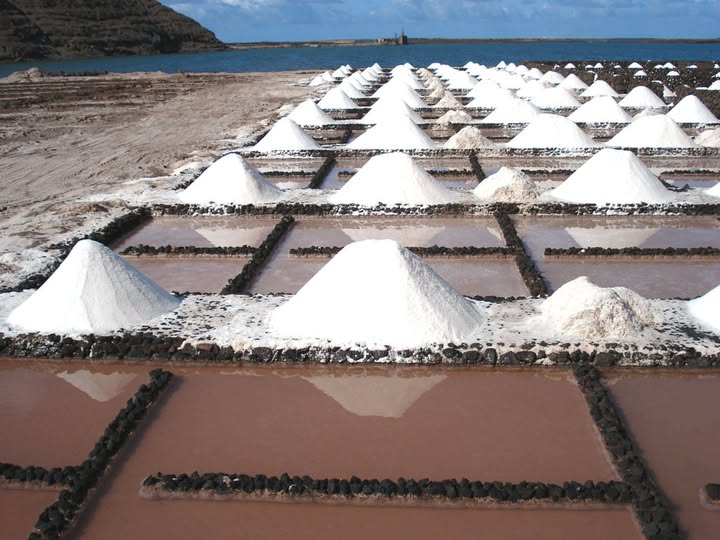 Recolección artesanal de La sal de Canarias en las salinas premiadas.