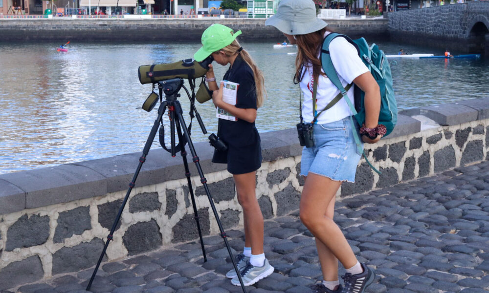 Participantes en la jornada de avistamiento de aves en Arrecife observando especies marinas en los bajíos.