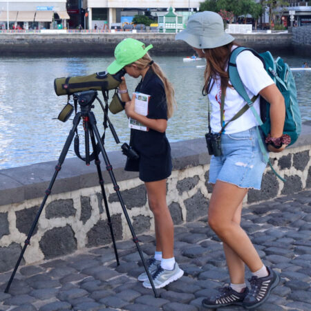 Participantes en la jornada de avistamiento de aves en Arrecife observando especies marinas en los bajíos.